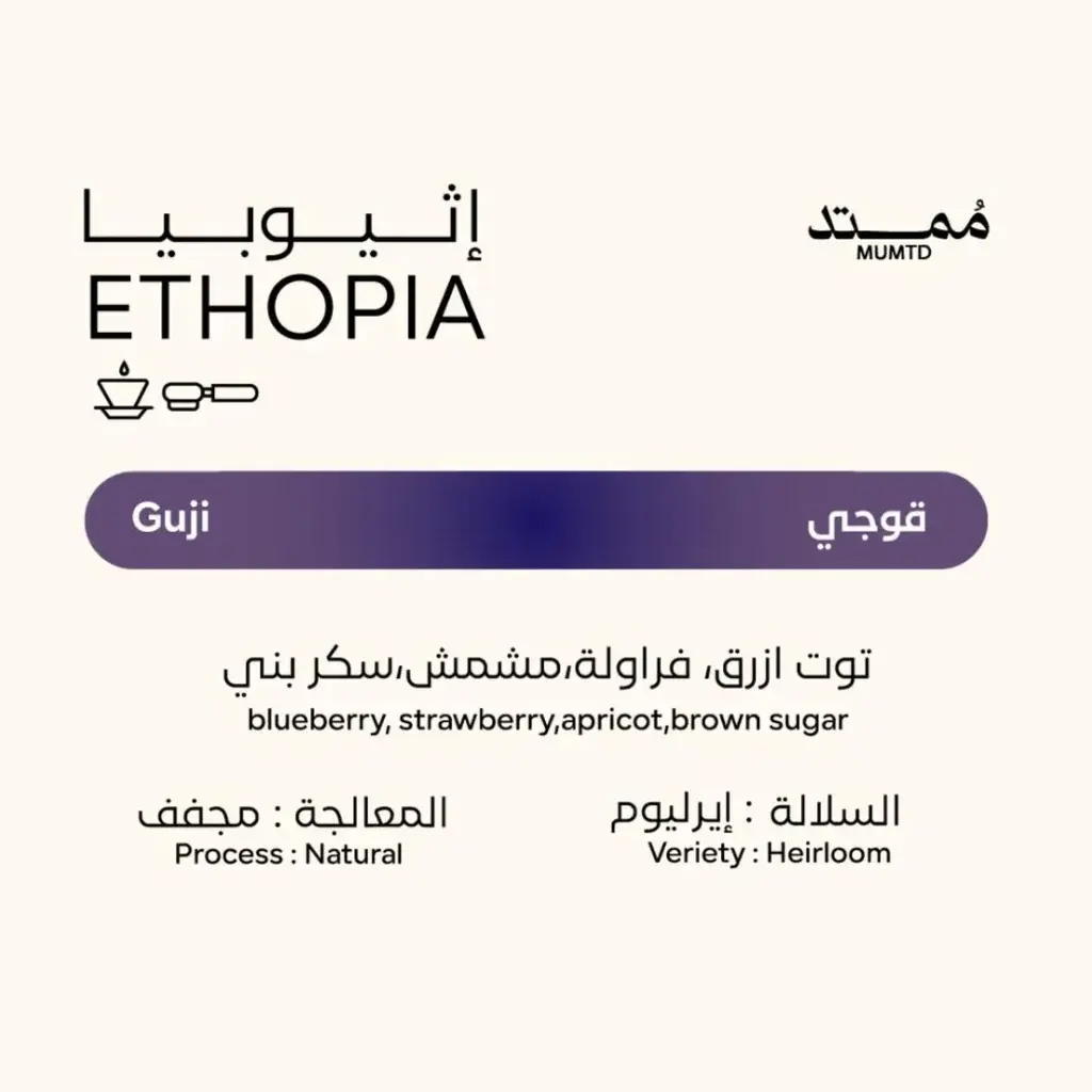 1000334240.webp