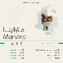 1000401339.webp