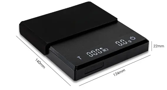 Electric Scale 